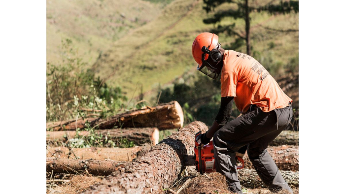 Motosserra Profissional Husqvarna 272XP